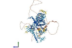 AlphaFold protein structure predicition of Human Recombinant PMS1 Protein, UniprotID P54277