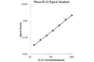 ELISA image for Interleukin 22 (IL22) ELISA Kit (ABIN2681247)