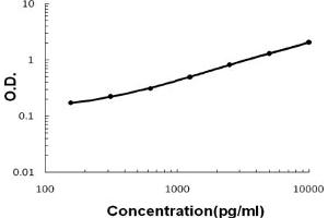 Sandwich ELISA - Recombinant Rat HE4 protein standard curve.