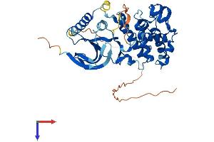 AlphaFold protein structure predicition of Mouse Recombinant Mapk9 Protein, UniprotID Q9WTU6