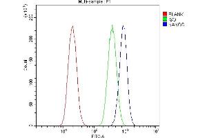 Flow Cytometry analysis of A549 cells using anti-Nanog antibody (ABIN5518779).