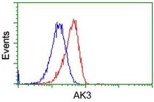 HEK293T cells transfected with either RC204408 overexpress plasmid (Red) or empty vector control plasmid (Blue) were immunostained by anti-AK3 antibody (ABIN2452715), and then analyzed by flow cytometry. (Adenylate Kinase 3 anticorps)