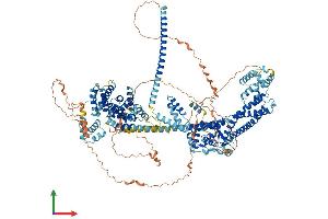AlphaFold protein structure predicition of Human Recombinant DIAPH3 Protein, UniprotID Q9NSV4