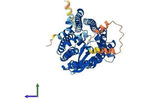 AlphaFold protein structure predicition of Human Recombinant ZMPSTE24 Protein, UniprotID O75844