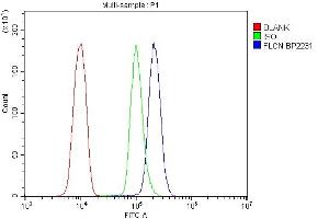 Flow Cytometry analysis of U937 cells using anti-FLCN antibody (ABIN7602491). (FLCN anticorps  (AA 8-551))