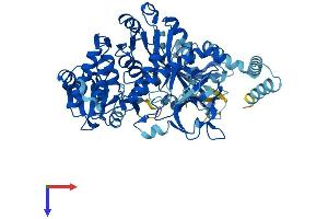 AlphaFold protein structure predicition of Mouse Recombinant Slc27a4 Protein, UniprotID Q91VE0