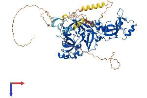 AlphaFold protein structure predicition of Mouse Recombinant Mbtd1 Protein, UniprotID Q6P5G3