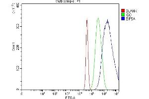 Flow Cytometry analysis of Neuro-2a cells using anti-EIF5A antibody (ABIN7599674). (EIF5A anticorps  (AA 107-154))