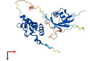 AlphaFold protein structure predicition of Mouse Recombinant Pcgf5 Protein, UniprotID Q3UK78