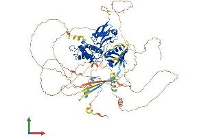 AlphaFold protein structure predicition of Human Recombinant EPB41L1 Protein, UniprotID Q9H4G0