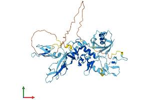 AlphaFold protein structure predicition of Mouse Recombinant Prkn Protein, UniprotID Q9WVS6