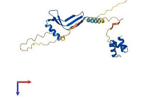 AlphaFold protein structure predicition of Human Recombinant NACA Protein, UniprotID Q13765