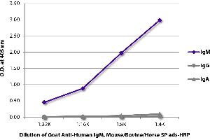 ELISA plate was coated with purified human IgM, IgG, and IgA. (Chèvre anti-Humain IgM Anticorps (HRP) - Preadsorbed)