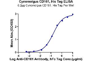 Immobilized Cynomolgus CD161, His Tag at 2 μg/mL (100 μL/Well) on the plate.