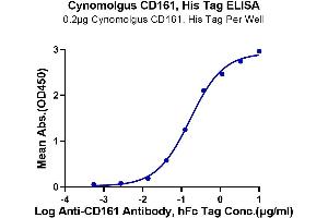 Immobilized Cynomolgus CD161, His Tag at 2 μg/mL (100 μL/Well) on the plate. (CD161 Protein (AA 67-227) (His-Avi Tag))