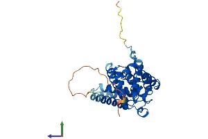 AlphaFold protein structure predicition of Mouse Recombinant Ccnd1 Protein, UniprotID P25322