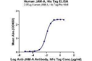 Immobilized Human JAM-A, His Tag at 0. (F11R Protein (AA 28-238) (His tag))
