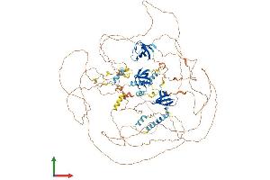 AlphaFold protein structure predicition of Human Recombinant SORBS2 Protein, UniprotID O94875