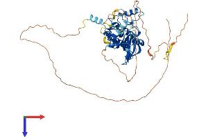 AlphaFold protein structure predicition of Mouse Recombinant Stk33 Protein, UniprotID Q924X7