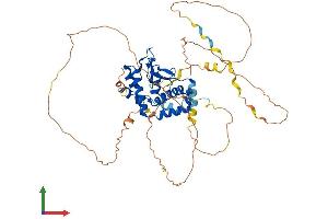 AlphaFold protein structure predicition of Human Recombinant NFIA Protein, UniprotID Q12857