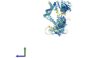 AlphaFold protein structure predicition of Mouse Recombinant Smc1a Protein, UniprotID Q9CU62
