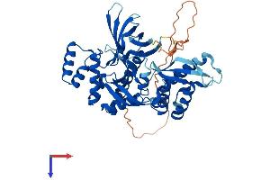 AlphaFold protein structure predicition of Mouse Recombinant Snx31 Protein, UniprotID Q6P8Y7