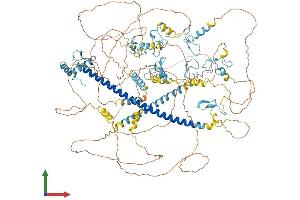 AlphaFold protein structure predicition of Human Recombinant MYT1 Protein, UniprotID Q01538