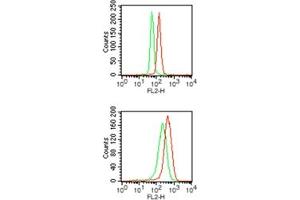 Image no. 2 for anti-Spleen Focus Forming Virus (SFFV) Proviral Integration Oncogene Spi1 (SPI1) (AA 20-70) antibody (ABIN960355)