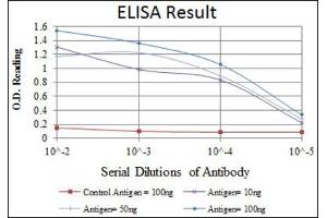 Red: Control Antigen (100ng) ; Purple: Antigen (10ng) ; Green: Antigen (50ng) ; Blue: Antigen (100ng).