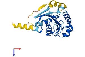 AlphaFold protein structure predicition of Mouse Recombinant Sar1a Protein, UniprotID P36536