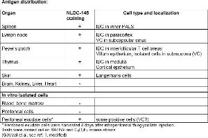 Rat anti CD205 / DEC-205 / LY75 NLDC145 (LY75/DEC-205 anticorps)