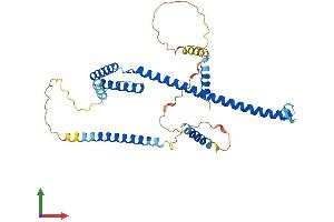 AlphaFold protein structure predicition of Human Recombinant SURF6 Protein, UniprotID O75683