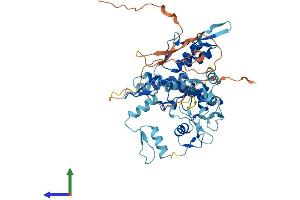 AlphaFold protein structure predicition of Mouse Recombinant Hinfp Protein, UniprotID Q8K1K9