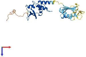 AlphaFold protein structure predicition of Human Recombinant KCTD4 Protein, UniprotID Q8WVF5