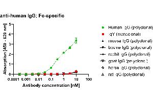 Different species IgG were coated on an ELISA plate at 100 ng. (Recombinant Souris anti-Humain IgG (Fc Region) Anticorps (HRP))