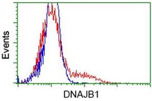 HEK293T cells transfected with either RC201762 overexpress plasmid (Red) or empty vector control plasmid (Blue) were immunostained by anti-DNAJB1 antibody (ABIN2454069), and then analyzed by flow cytometry. (DNAJB1 anticorps)