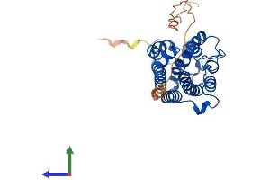 AlphaFold protein structure predicition of Mouse Recombinant Hmox1 Protein, UniprotID P14901
