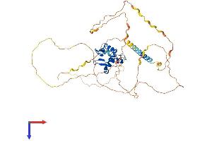 AlphaFold protein structure predicition of Mouse Recombinant Etv1 Protein, UniprotID P41164
