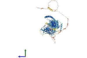 AlphaFold protein structure predicition of Mouse Recombinant Rabgap1 Protein, UniprotID A2AWA9