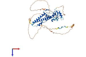 AlphaFold protein structure predicition of Human Recombinant TFAP2A Protein, UniprotID P05549