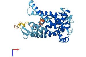 AlphaFold protein structure predicition of Human Recombinant SLC25A16 Protein, UniprotID P16260
