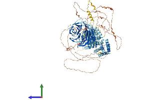 AlphaFold protein structure predicition of Human Recombinant SEC31A Protein, UniprotID O94979