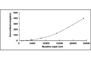 ELISA image for Interleukin 31 (IL31) CLIA Kit (ABIN1081694)