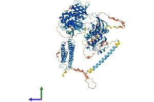 AlphaFold protein structure predicition of Mouse Recombinant Ptk2b Protein, UniprotID Q9QVP9