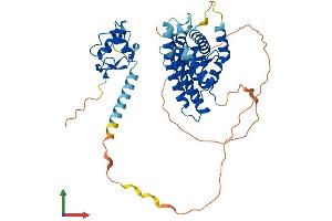 AlphaFold protein structure predicition of Mouse Recombinant Nr5a1 Protein, UniprotID P33242