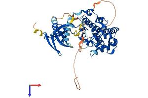 AlphaFold protein structure predicition of Human Recombinant MAPK8 Protein, UniprotID P45983