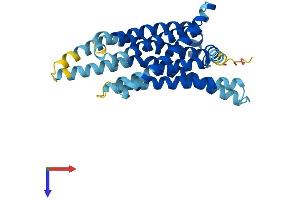 AlphaFold protein structure predicition of Human Recombinant TAS2R3 Protein, UniprotID Q9NYW6