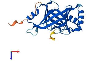 AlphaFold protein structure predicition of Human Recombinant MED18 Protein, UniprotID Q9BUE0