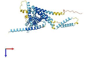 AlphaFold protein structure predicition of Mouse Recombinant Lmbr1l Protein, UniprotID Q9D1E5