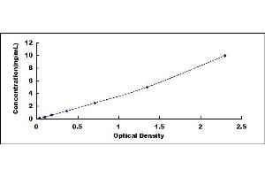 Typical standard curve (HMOX2 Kit ELISA)